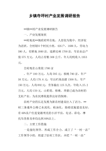 乡镇寺坪村产业发展调研报告