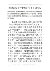 组建市投资控股集团有限公司方案