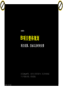 BI项目总体规划(pdf19)