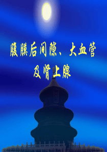 腹膜后、大血管及肾上腺的超生诊断