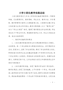 小学小班化教学实践总结