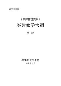品牌管理实训大纲