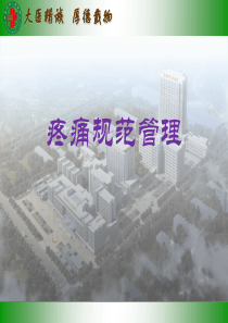 疼痛规范管理