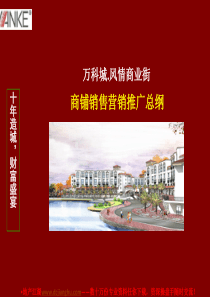 万科城风情商业街商铺销售营销推广总纲-71