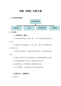 店铺（前期）运营方案（DOC9页）