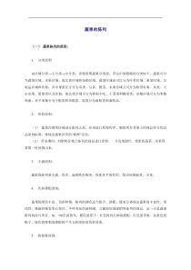 蔬果的陈列