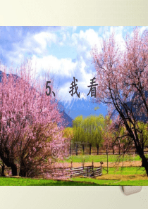 穆旦《我看》优质课课件