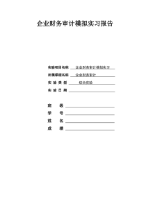 企业财务审计模拟实习报告