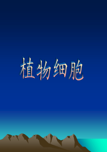 人教版七年级上册生物-2.1.2植物细胞--课件---