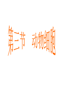 人教版七年级生物上册《动物细胞》