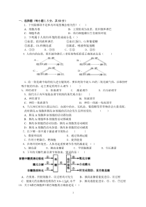 高二生物必修三生物简易题目