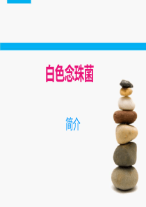 白色念珠菌.