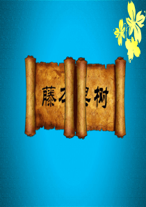 弥胡桃