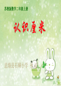 苏教版二年级上册数学认识厘米