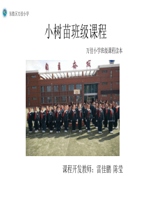 小树苗班级课程