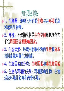 《生物与环境组成生态系统》ppt课件