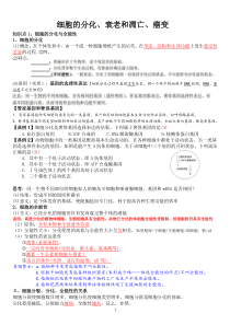 细胞的分化、衰老和凋亡、癌变一轮复习教学案(教师版)