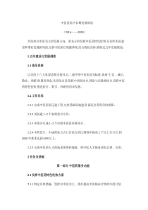 中医医院中长期发展规划(精)