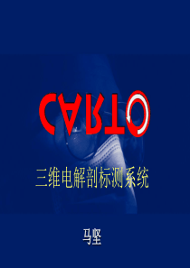 三维电解剖标测系统模板