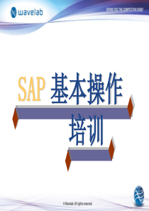 sap_培训