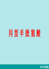 同型半胱氨酸概述