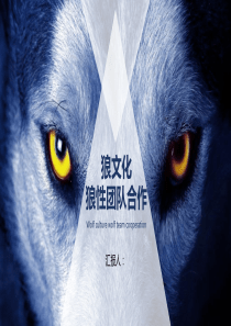狼文化狼性团队合作PPT企业团队建设模板