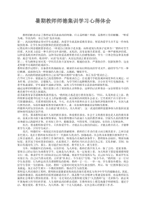 暑期教师师德集训学习心得体会