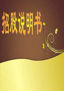 招股说明书