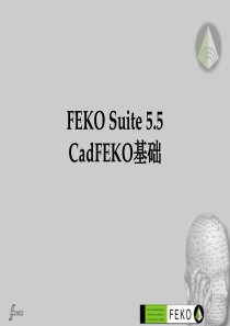 FEKO教程