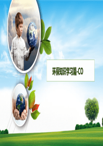 一氧化碳培训资料