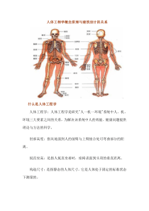 人体工程学与建筑设计应用关系