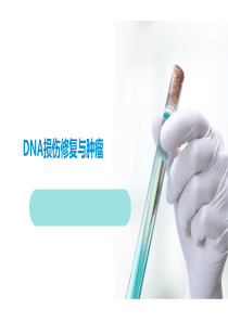 DNA损伤修复与肿瘤