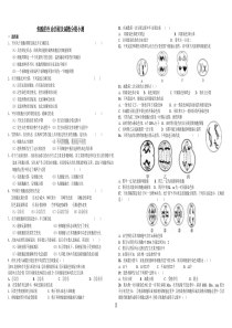 减数分裂经典习题