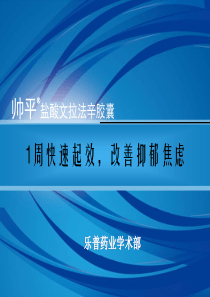 帅平(盐酸文拉法辛)