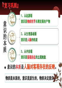 意识的作用(2018优质课)