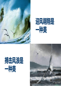 《海燕》PPT课件