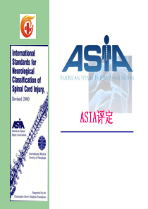 ASIA评定概要