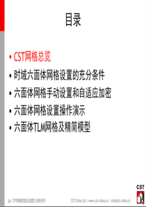 CST网格划分技巧