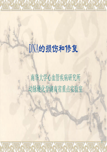 DNA的损伤和修复讲解
