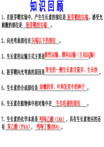 优质课-生长素的生理作用