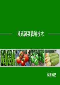 ppt-设施蔬菜栽培技术
