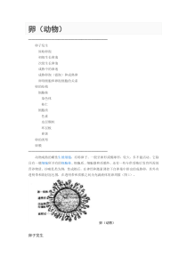 卵细胞成熟过程