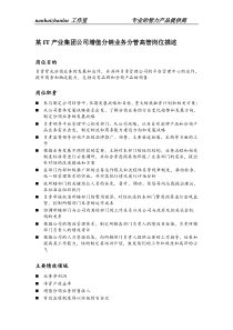 某it产业集团公司增值分销业务分管高管岗位描述