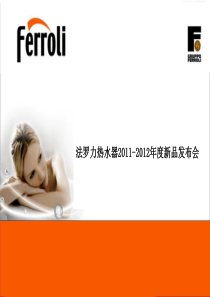 法罗力分销商会议准备资料PPT(压缩)