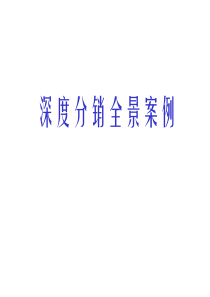 深度分销全景案例
