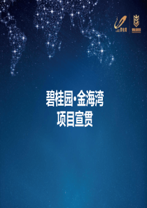碧桂园金海湾项目分销商宣贯41p