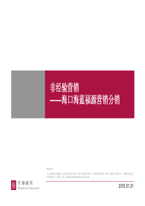 海南鲁能地产分销提案
