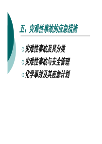 安全系统工程_陈国华_第五章2灾难性事件及应急管理