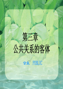 第三章_公共关系的客体
