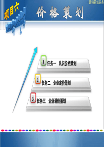 价格策划（PPT32页)